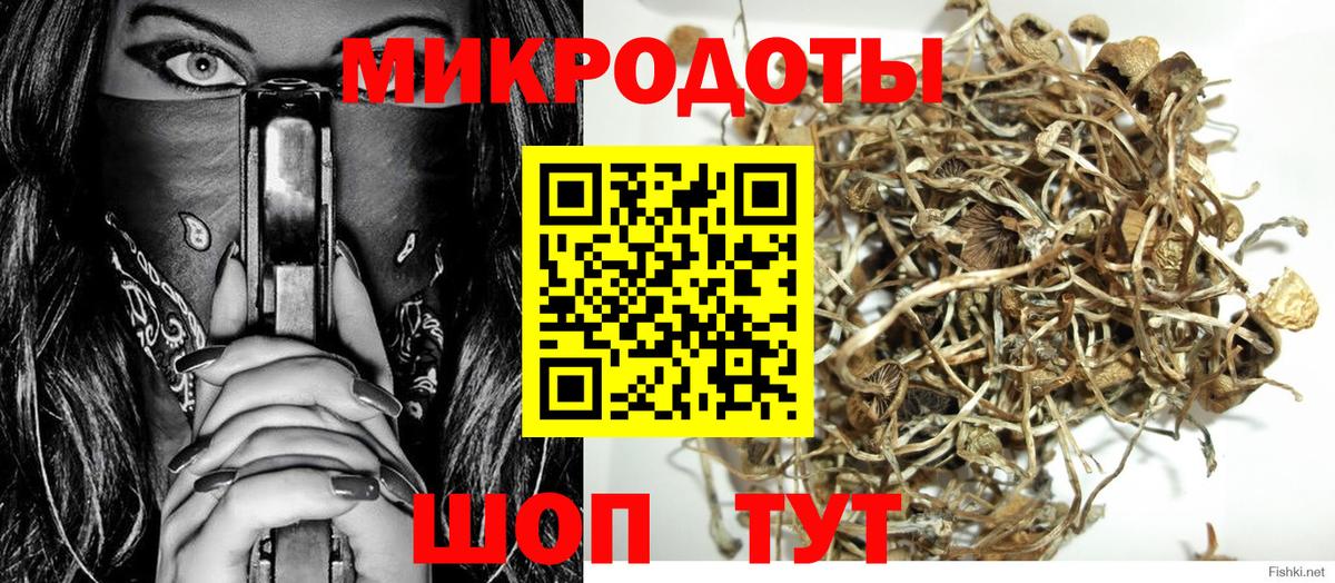 Кунгур  Галлюциногенные грибы прущие грибы  Вход с VPN 