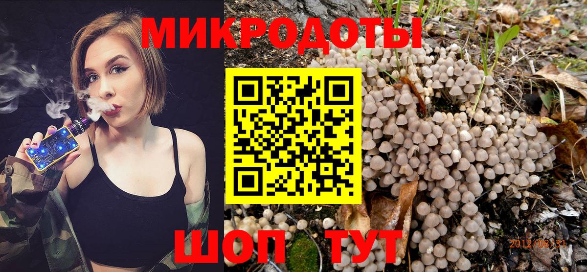Псилоцибиновые грибы прущие грибы Кунгур